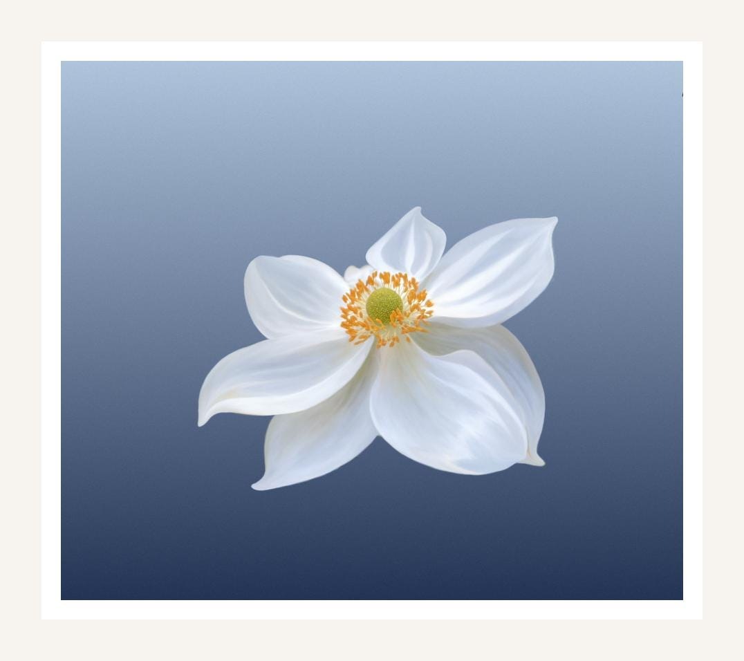White Anemone, digital art by Gaia Lenzi