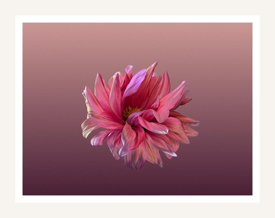 Pink Dahlia, digital art by Gaia Lenzi