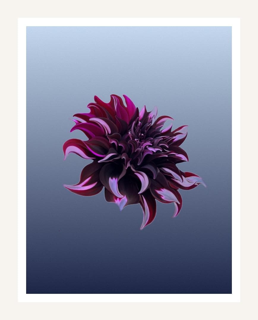 Dark Dahlia, digital art by Gaia Lenzi