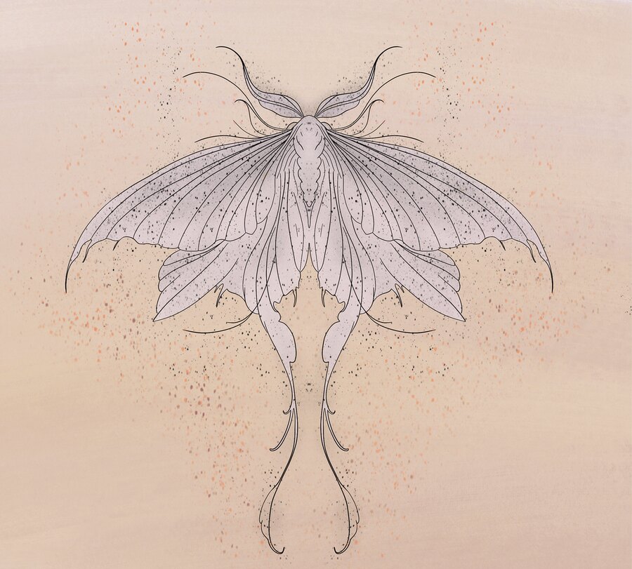 Take Flight moth line art print